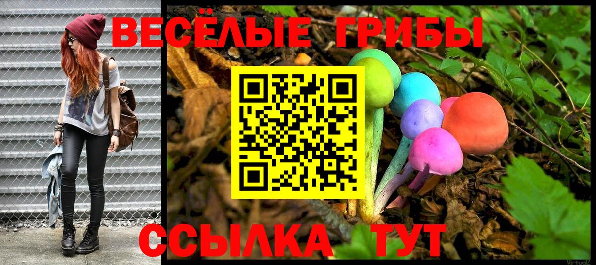 Псилоцибиновые грибы Magic Shrooms  Галлюциногенные грибы мицелий  Вход с VPN  Кинель 
